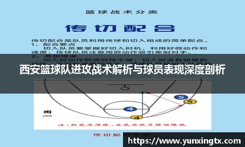西安篮球队进攻战术解析与球员表现深度剖析